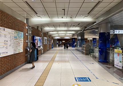 yokohama-kiji-15
